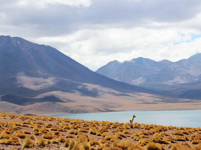 Corporate excellence and partnership